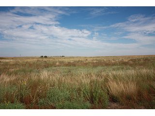 Property photo 63 - LAND AUCTION, 3255+/- Acres offered in 13 Tracts